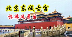 你还操逼大片儿。中国北京-东城古宫旅游风景区