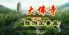 日本老奶毛茸茸中国浙江-新昌大佛寺旅游风景区